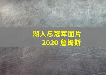 湖人总冠军图片2020 詹姆斯